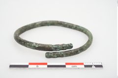 Foto von Bronzering (NHMW-PRAE-026627)